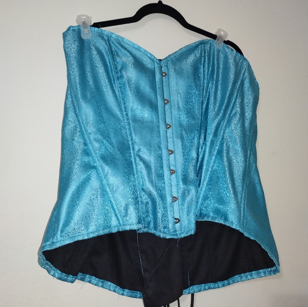 Lavish by Daisy Corset Light Aqua color corsets size 6XL